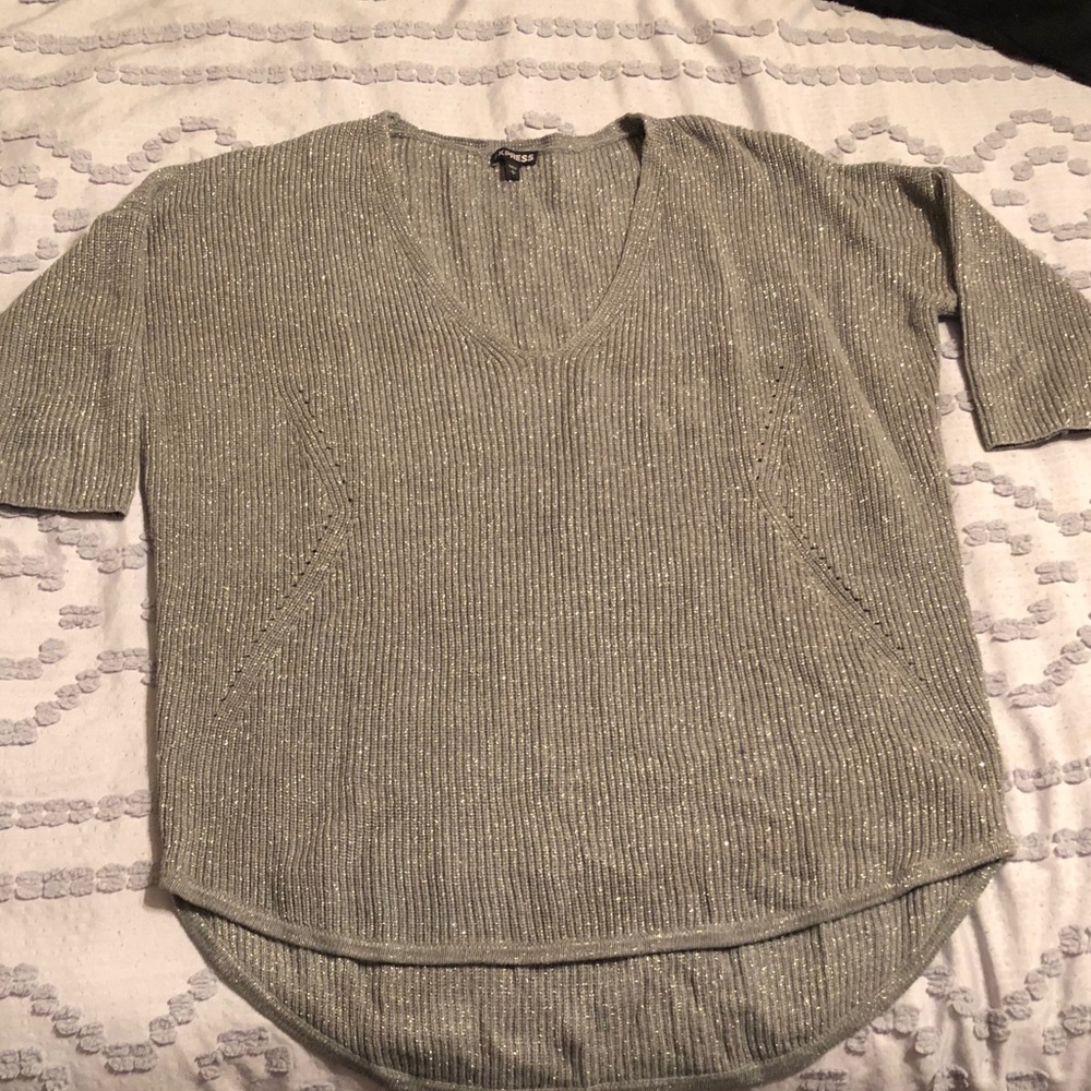 Express sparkly v-neck long sweater